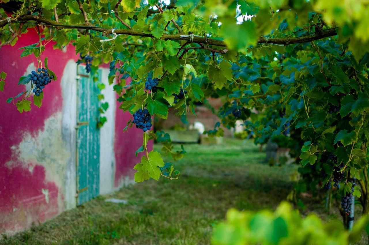 Agriturismo Valle Isola "La Tana Del Gusto" Villa Comacchio Exterior photo